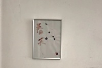 我不能为一根手指悼念太久，关于刘成瑞近期的一次残忍与浪漫