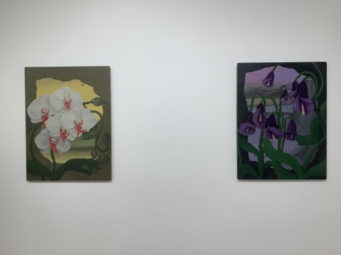 林山《蜜蜂与蝴蝶兰》80x60cm 铝板油画 2022
林山《马蹄莲精灵》80x60cm 铝板油画 2022
