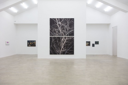 文学与绘画,构建了一次平凡人的“逍遥游” 文学与绘画,构建了一次平凡人的“逍遥游”