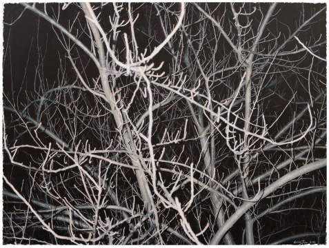 龚剑 《看这棵灰色的树 No. 12》170x230cm 布面丙烯 2016
龚剑 《看这棵灰色的树 No. 12》170x230cm 布面丙烯 2016