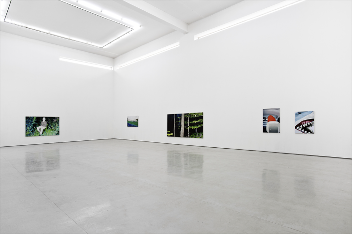 王强个展“林中路”,空白空间展览现场,2013
王强个展“林中路”,空白空间展览现场,2013