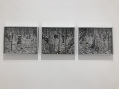 《在寂静处》 三联摄影 单幅尺寸40×50cm 2018
《在寂静处》 三联摄影 单幅尺寸40×50cm 2018
