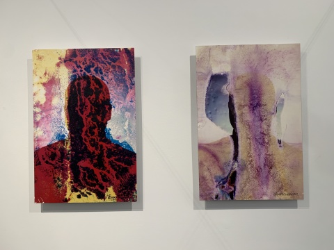 王友身《清洗·王》75×50cm 照片、水 2013
王友身《清洗·王》75×50cm 照片、水 2013
