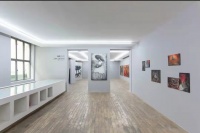 赵银鸥HdM画廊首展  在歇斯底里的画面中破解生命的“密码”