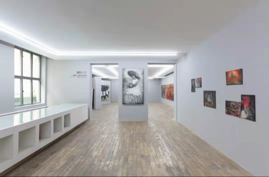 赵银鸥HdM画廊首展 在歇斯底里的画面中破解生命的“密码” 赵银鸥HdM画廊首展 在歇斯底里的画面中破解生命的“密码”