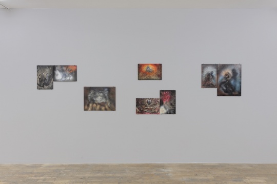 赵银鸥HdM画廊首展 在歇斯底里的画面中破解生命的“密码” 赵银鸥HdM画廊首展 在歇斯底里的画面中破解生命的“密码”
