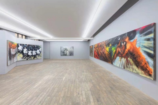 赵银鸥个展“天鹅从这里升起”展览现场 赵银鸥个展“天鹅从这里升起”展览现场