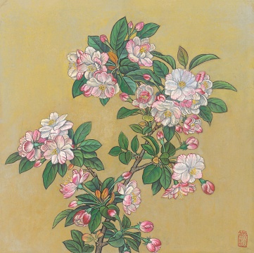 《海棠》38×38.5cm 纸本设色 1980年代
《海棠》38×38.5cm 纸本设色 1980年代
