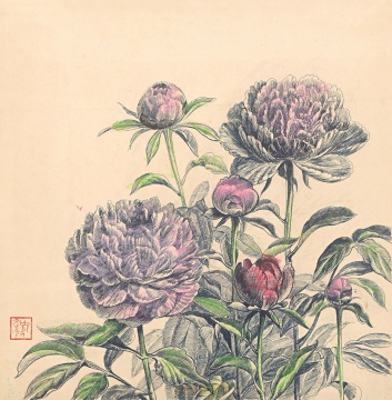 《牡丹》39.5×39cm 钢笔赋彩 1980年代
《牡丹》39.5×39cm 钢笔赋彩 1980年代