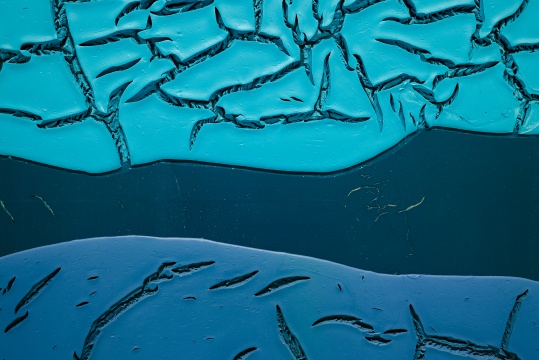 《无题》360×244×10cm 木板丙烯 2014 局部
《无题》360×244×10cm 木板丙烯 2014 局部