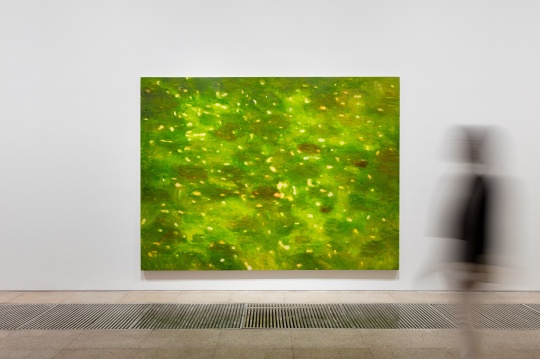 白盒子现场 | 徐小国个展:星光 白盒子现场 | 徐小国个展:星光