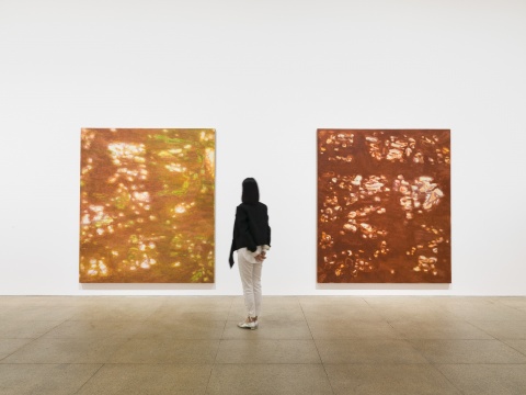 “徐小国个展:星光” 展览现场
“徐小国个展:星光” 展览现场