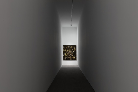 白盒子现场 | 徐小国个展:星光 白盒子现场 | 徐小国个展:星光