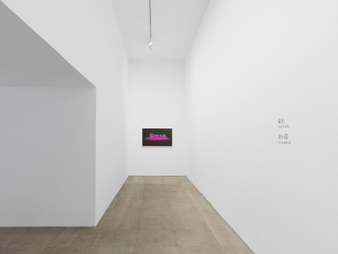 白盒子现场 | 徐小国个展:星光 白盒子现场 | 徐小国个展:星光