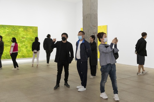 白盒子现场 | 徐小国个展:星光 白盒子现场 | 徐小国个展:星光