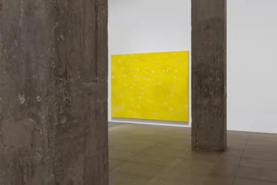 “徐小国个展:星光” 展览现场
“徐小国个展:星光” 展览现场