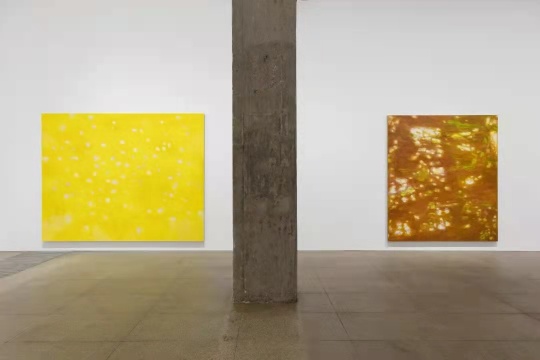 白盒子现场 | 徐小国个展:星光 白盒子现场 | 徐小国个展:星光