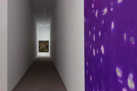 白盒子现场 | 徐小国个展:星光 白盒子现场 | 徐小国个展:星光