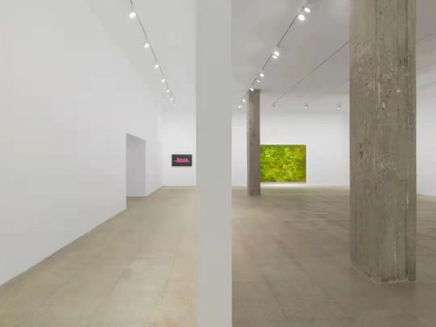 白盒子现场 | 徐小国个展:星光 白盒子现场 | 徐小国个展:星光