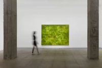 白盒子现场 | 徐小国个展：星光
