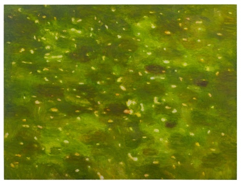 星光 6/2020 224x300cm 布面油画 2020
Starlight 6/2020 224x300cm Oil on canvas 2020
星光 6/2020 224x300cm 布面油画 2020
Starlight 6/2020 224x300cm Oil on canvas 2020
