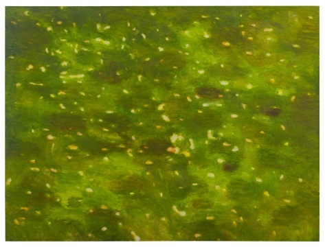 星光 6/2020  224x300cm  布面油画  2020
Starlight 6/2020  224x300cm  Oil on canvas  2020
