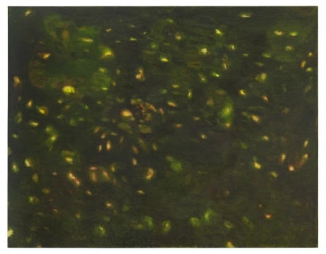 《星光 9/2020》 200x155cm 布面油画 2020
《星光 9/2020》 200x155cm 布面油画 2020