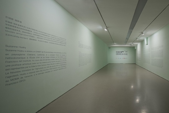 环保恋爱——苏珊娜·赫斯基、童义欣作品展亮相今日美术馆 环保恋爱——苏珊娜·赫斯基、童义欣作品展亮相今日美术馆