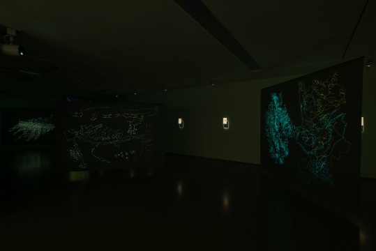 环保恋爱——苏珊娜·赫斯基、童义欣作品展亮相今日美术馆 环保恋爱——苏珊娜·赫斯基、童义欣作品展亮相今日美术馆