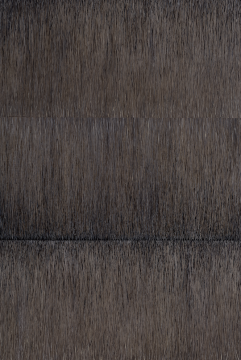 17T80,50x100cmx3panel,布面油画,2017
17T80,50x100cmx3panel,布面油画,2017