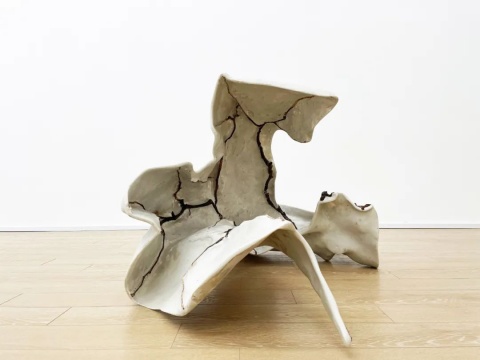 康靖《骨感2#》68×114×91cm 树枝、树脂、玻璃纤维 2019-2022
康靖《骨感2#》68×114×91cm 树枝、树脂、玻璃纤维 2019-2022