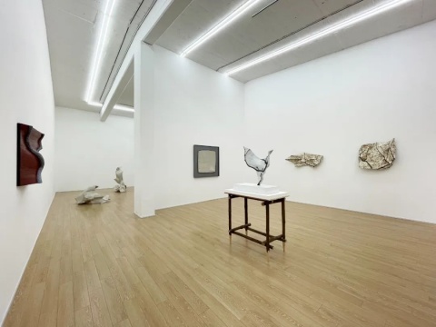 康靖“刻骨”展览现场
康靖“刻骨”展览现场