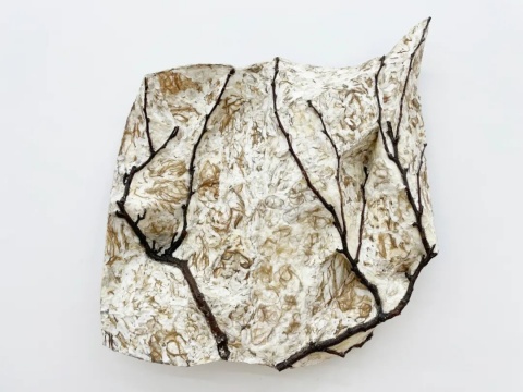康靖《骨感6#》85×74×16cm 树枝、纸黏土、麻丝、环氧 康靖《骨感6#》85×74×16cm 树枝、纸黏土、麻丝、环氧