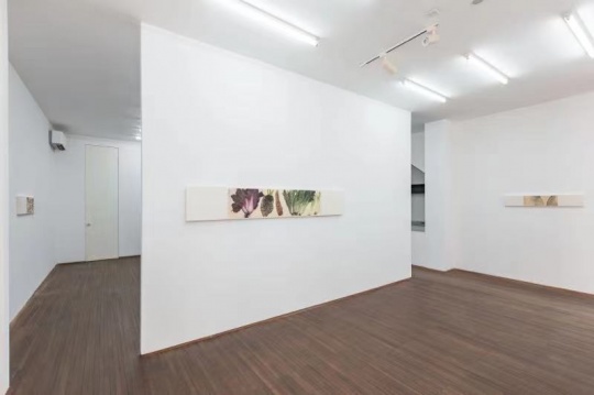 李津“李津”展览现场,站台中国
李津“李津”展览现场,站台中国