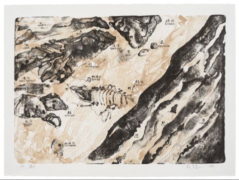 《潮汐》，石版套色，76 × 56 cm，2019
