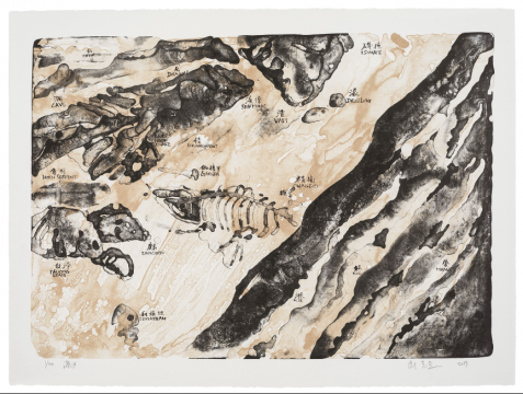 《潮汐》,石版套色,76 × 56 cm,2019
《潮汐》,石版套色,76 × 56 cm,2019