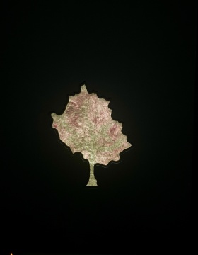 忽见桃花源,丘挺大千画廊新展开幕 忽见桃花源,丘挺大千画廊新展开幕