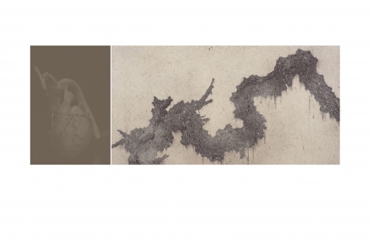 《身外_Outside.24 (搭配 物候记 Phenology.5)》200×104cm 手工纸、墨水、亚克力 2018
《身外_Outside.24 (搭配 物候记 Phenology.5)》200×104cm 手工纸、墨水、亚克力 2018