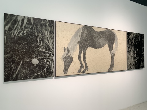 谭军经过5年沉淀的个展“观沙岭” 谭军经过5年沉淀的个展“观沙岭”