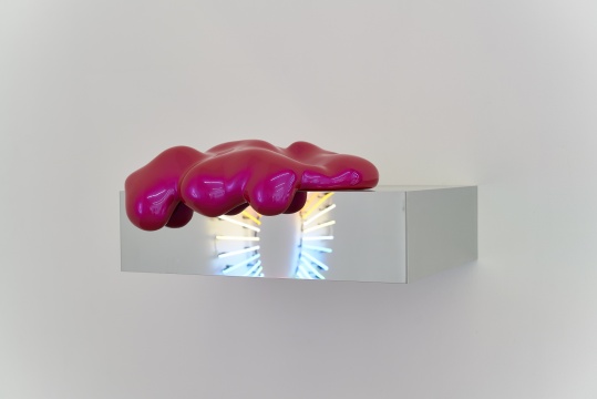 希尔维·夫拉里，《单件贾德（粉色与蓝色）》60×75×20cm 抛光不锈钢、玻璃纤维、车漆 版数：6/6 2008
