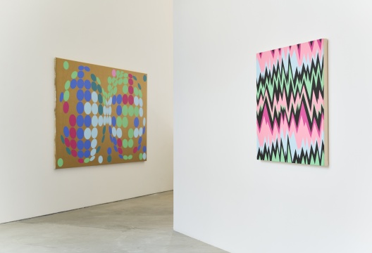 “希尔维·夫拉里”展览现场 阿那亚艺术中心 2022 摄影:孙诗 © Sylvie Fleury
“希尔维·夫拉里”展览现场 阿那亚艺术中心 2022 摄影:孙诗 © Sylvie Fleury