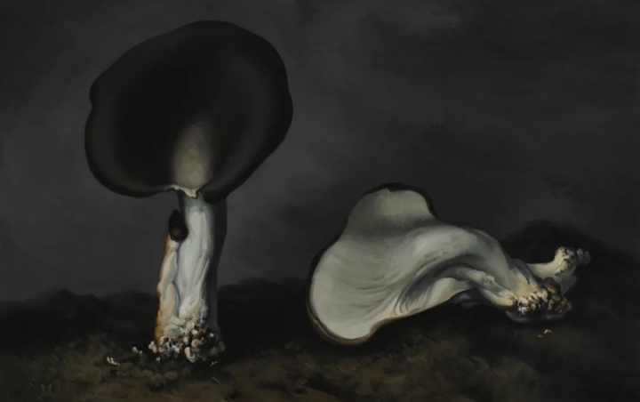 ​闫冰《蘑菇10》200×320cm 布面油画 2021（罗旭东收藏）