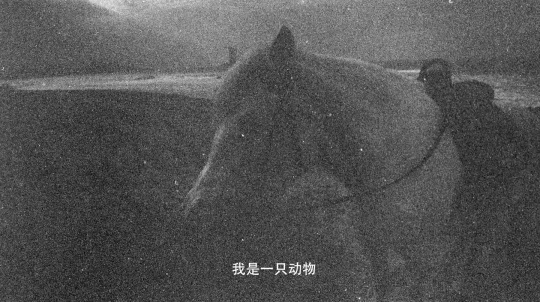 张瀚铎 《Monochrome_单向搜索》 单频影像 9分25秒 2022
张瀚铎 《Monochrome_单向搜索》 单频影像 9分25秒 2022
