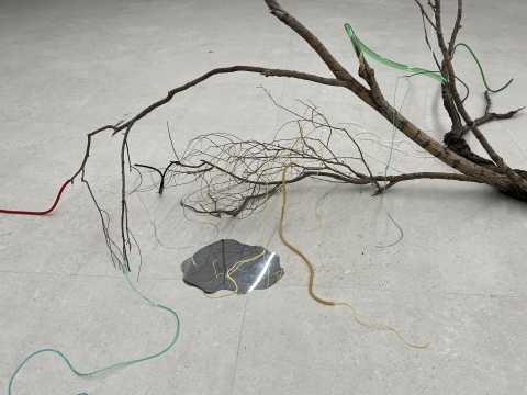 “蔡锦花园”展览现场 博乐德艺术中心 北京 2022
“蔡锦花园”展览现场 博乐德艺术中心 北京 2022