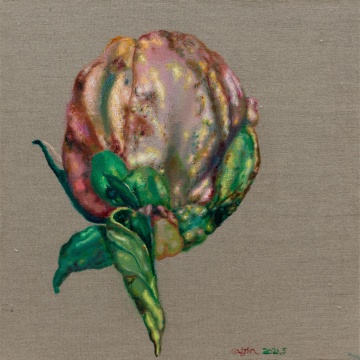《花苞》 40×40cm 布面油画 2021
《花苞》 40×40cm 布面油画 2021