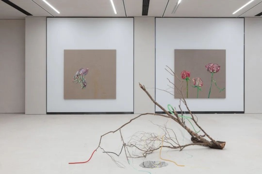 “蔡锦花园”,一道隐秘而诱人的结界 “蔡锦花园”,一道隐秘而诱人的结界