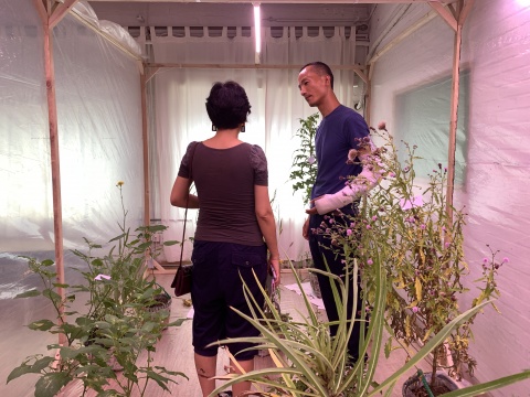 张新军最新项目“局部有雨”:篮子里的杂草 张新军最新项目“局部有雨”:篮子里的杂草