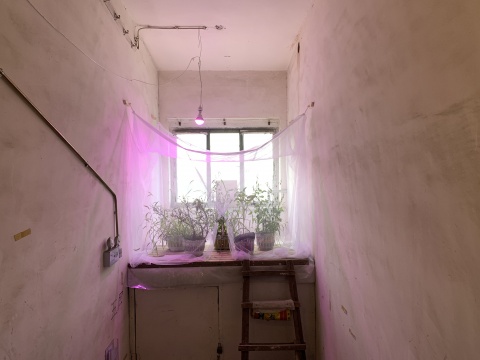 “局部有雨”展览现场 蔡锦空间 北京 2022
“局部有雨”展览现场 蔡锦空间 北京 2022