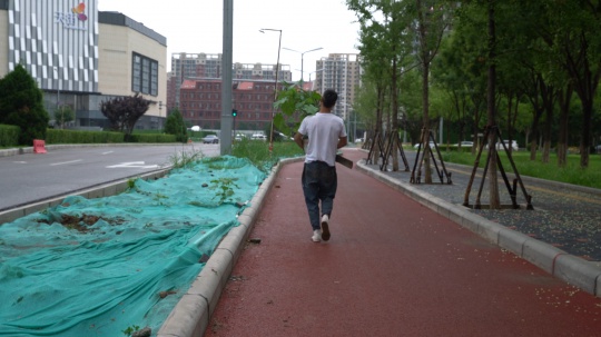 张新军采集杂草的过程
张新军采集杂草的过程