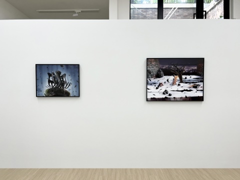 “梦境设计师”尹航,个展于新氧艺开幕 “梦境设计师”尹航,个展于新氧艺开幕
